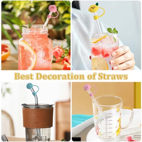 6 Pezzi Punte di Paglia in Silicone, Punta di