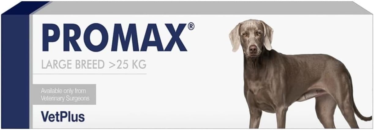 Promax Nutritional Supplement for Large Dogs 30ml Syringe (Packaging May Vary)