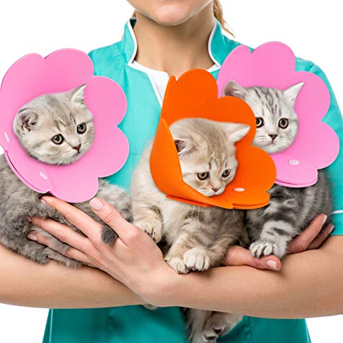 image for Weewooday 4 Pieces Cat Recovery Collar Cat Cones Flower Shape Pet Anti