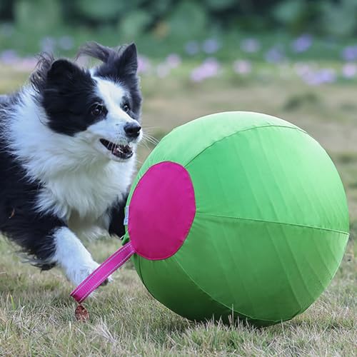 Balle gonflable interactive gros chien jouet robuste de jardin