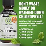 Benevolent Nourishment Chlorophyll Supplement, Detox & Immune Support, Internal Deodorizer, Liquid Drops