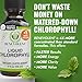 Benevolent Nourishment Chlorophyll Supplement, Detox & Immune Support, Internal Deodorizer, Liquid Drops