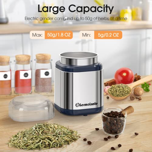 Image of Hermolante Herb Grinder Spice Grinder, 200 w Herb Grinder with Stainless Steel Blade and Cleaning Brush, Compact Size Electric Grinder for Herbs and Spices -5.11in(Stainless Steel)