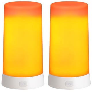 AUAUY LED Flame Bulb, USB Rechargeable Flame Effect Bulbs, Flashing Bulbs with Remote Control, 4 Lighting Modes, Outdoor Light, Party Bulb, Suitable for Home Garden Bar Halloween Christmas(2 pcs) - Amazon product rated Grade A