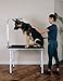 Grooming Table for Dogs - Tables Stand Pet Supplies Best for Small Medium Large Dog & Cat - Portable Restraint Holder w/Arm, Clamp & Hanging Noose Loop Adjustable Height Professional Groomer Station