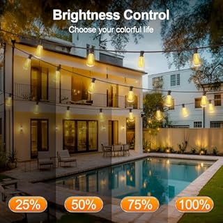 Outdoor String LED Patio Lights - 100Ft 30M Outside Waterproof Light with Remote Dimmable ST38 Shatterproof Bulb Connectable Hanging Outdoor Electric Lighting for Backyard Yard Gazebo Porch Party