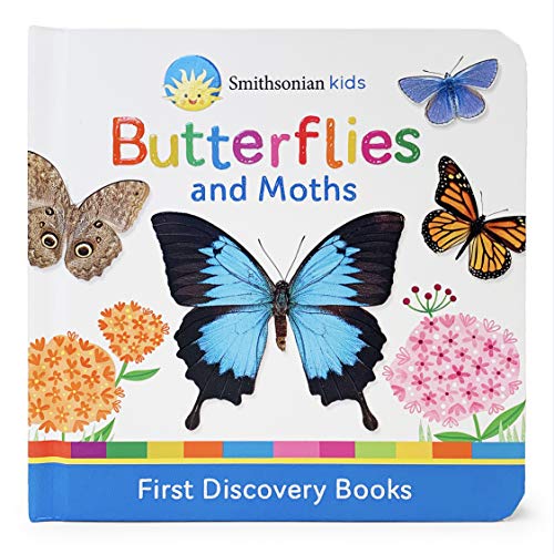 15 Nonfiction Books About Butterflies for Preschoolers