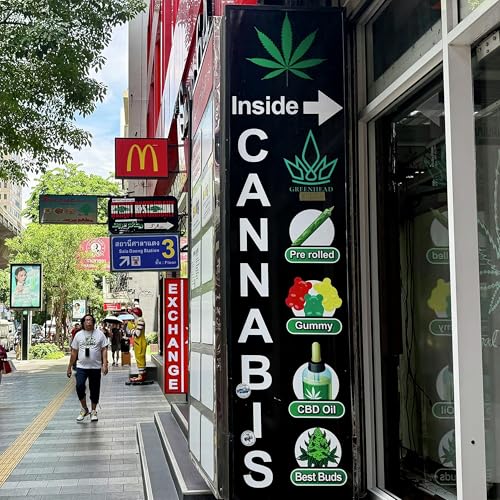 Behind Thailand&rsquo;s Push to Recriminalize Cannabis