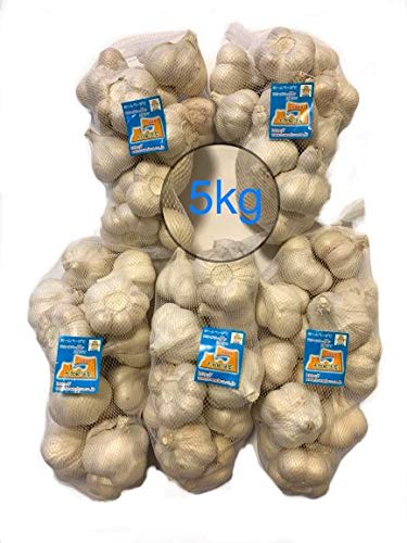 X ɂɂ 󂠂 5kg Ɩp Ci LTCY Y jjN zCgZЎ