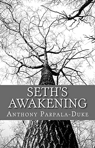 Seth's Awakening
