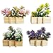 LIUYIDM 4 Pezzi Graziosi Calamite Frigorifero, a Forma di Fiore Finto, Mini Magnete Decorativo per Casa, Cucina, Ufficio, Scuola, Armadietto, Lavagna Bianca (Orchidea) immagine