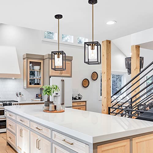 Vinluz 1-Light Interior Lantern Pendant Light,Black And Brushed Brass Finish Farmhouse Chandelier With Clear Glass Shade Foyer Cage Hanging Ceiling Lighting For Kitchen Island Dining Room Entryway #TOP2