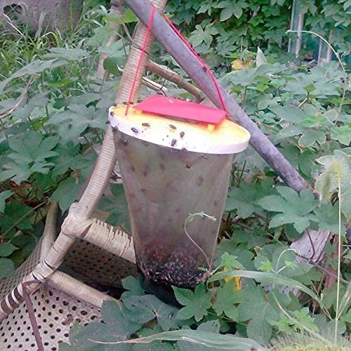 Lot de à Mouches Attrape Transparent (4 Pack)