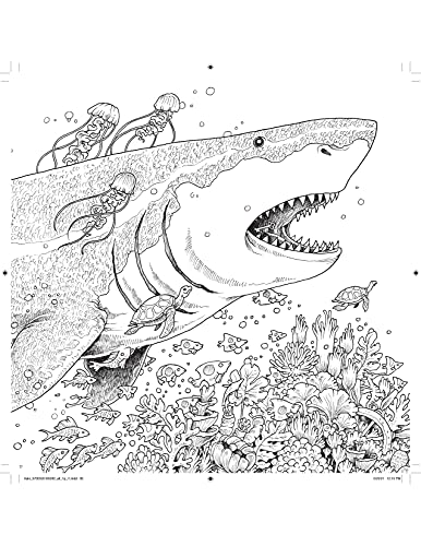 Kaleidomorphia: Celebrating Kerby Rosanes's Coloring Challenges