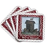 3dRose Finch Family on Birdhouse, We ve Moved Set of 4 Coasters - Cork