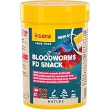 peces betta hembra cuidados especialmente adecuadas para animales delicados, para la cría y para peces jóvenes