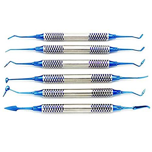 6pcs Dental Instrument Composite Resin Filling Spatula Titanium Plated Head Filler Thick Handle Restoration Set Dental Tool Set (Blue)