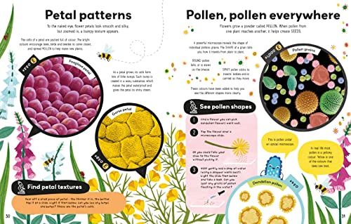 Book of the Microscope - Image 2