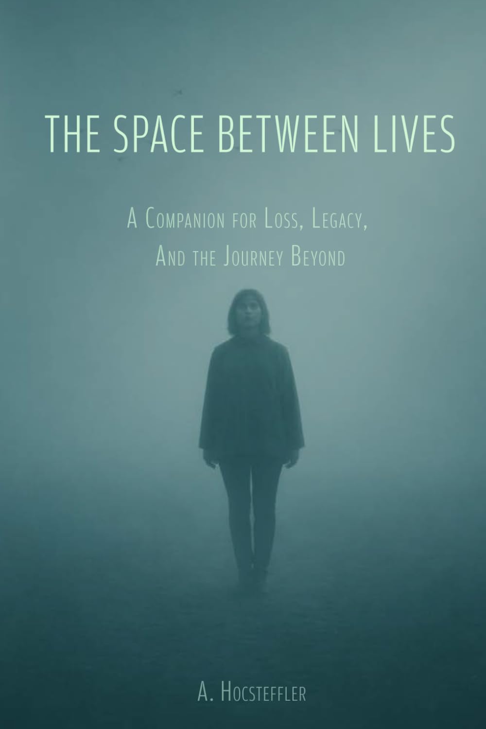 The Space Between Lives: A Companion for Loss, Legacy, and the Journey Beyond