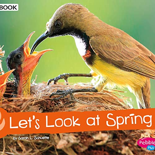 Let's Look at Spring by Sarah L. Schuette episode artwork