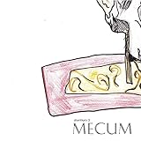  Mecum (Silentium 3)