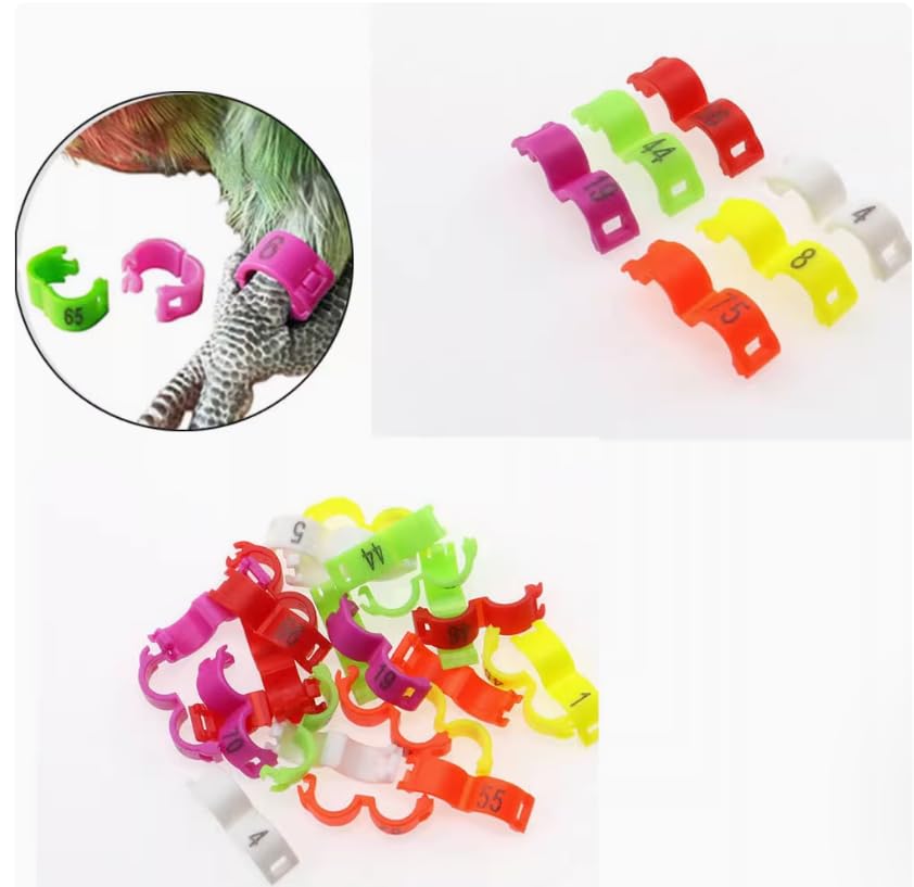 100pcs Bird Rings Leg Bands For Pigeon Parrot Finch Canary Hatch Poultry Rings For Sale Online