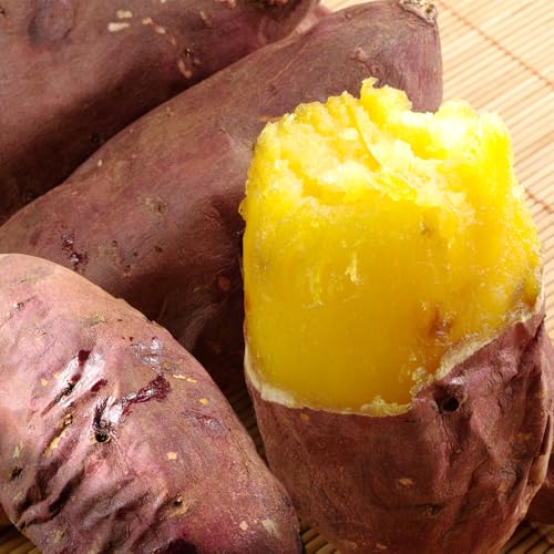 ܂ 5kg yt VNXC[g {Y Hi