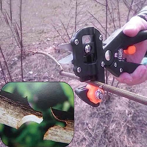 Tomshin Conjunto de ferramentas de enxerto de jardim doméstico Kit de ferramentas de corte de tesour