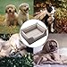 YPDOPORA Orthopedic Dog Bed for Medium Small Dogs, Egg Foam Sofa Bed with Extra Head and Neck Support, Comfy Bolster Pet Bed with Removable Washable Cover, Nonskid Bottom,M