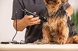 Wahl 1400, Tierschermaschine, kabelgebundene Hundeschermaschine, Pflegeset, Pflege von Haustieren zu Hause, präzise geschliffene Klingen, sehr leicht, 4 Aufsteckkämme, schwarz
