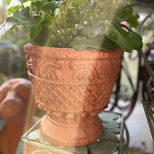 Pot pour plantes d'intérieur stable pour éviter le basculement de vos fleurs - 7