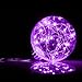 ITART Purple Fairy Lights Plug in Outdoor LED String Lights with Power Adapter UL Certified for Garden Patio Wedding Party Bedroom DIY Decoration