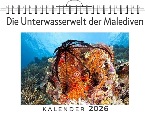 Die Unterwasserwelt der Malediven: (Wandkalender 2026, Kalender DIN A4 quer, Monatskalender im Querformat mit Kalendarium, das perfekte Geschenk)