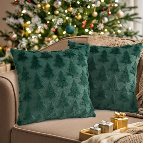 Sunshine smile 2er Set Samt Kissenbezüge Weicher,Kissenbezug...