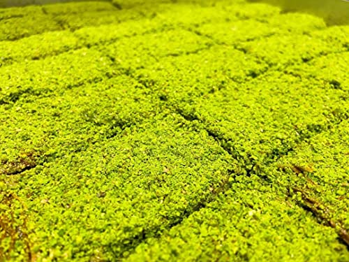 Gaziburma Mustafa's Authentic Billuria Kadayif Baklava - 2.2 Lb (1Kg) | Freshly Handmade With Finest Ingredients #TOP2