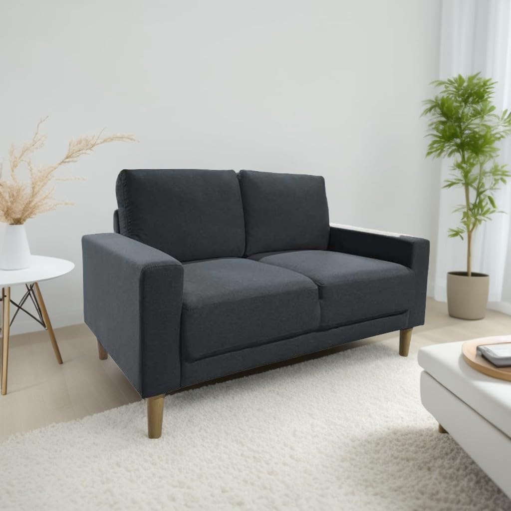 MUEBLIX.COM | Sofá Carlo de 2 Plazas | Moderno Sofá de Salón | Confortable y Tapizado en Tela | Suspensión de Muelles y Correas | Cojín del Asiento y Respaldo de Espuma