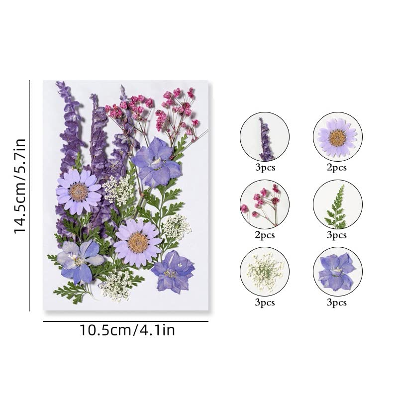 16 piezas flores secas prensadas naturales para manualidades miniatura 2