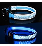 Light Up Dog Collar LED Illuminated Dog Collar Rechargeable Glow in The Dark Dog Collar at Night ...