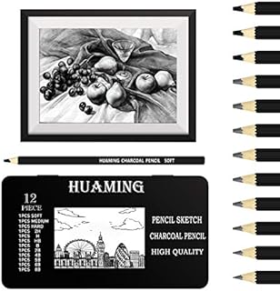 12Pcs Professional Sketch and Drawing Pencils Set, 2H H HB B 2B 4B 5B 6B 8B and 3Pcs Charcoal Art Pencils for Kids Adults Artists and Beginners
