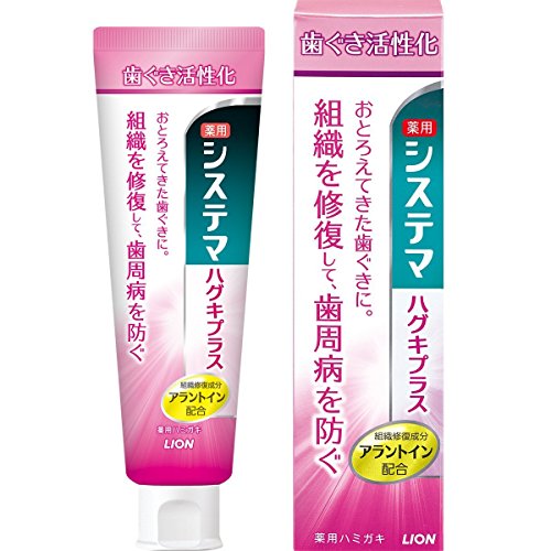 薬用システマ ハグキプラスハミガキ 90g ×10個セット
