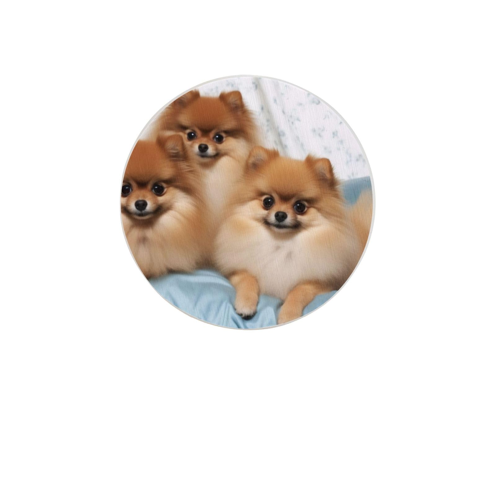 Cute Pomeranian Absorbent Drink Coasters Diatomaceous Round Coaster 4 Inch Reusable Cup Coasters Set 4pc