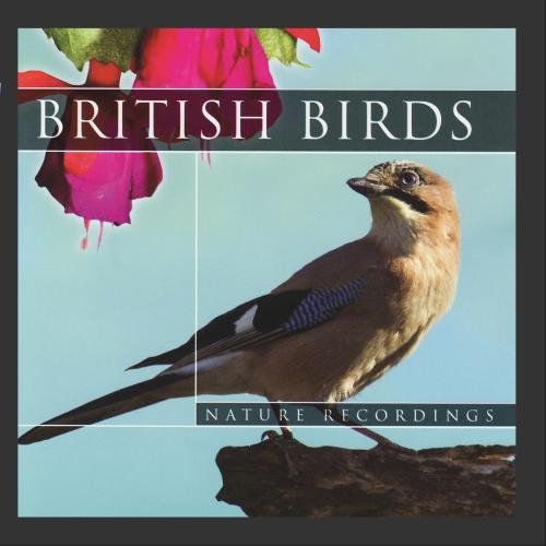 My Favorite Best British Bird Book On The Market