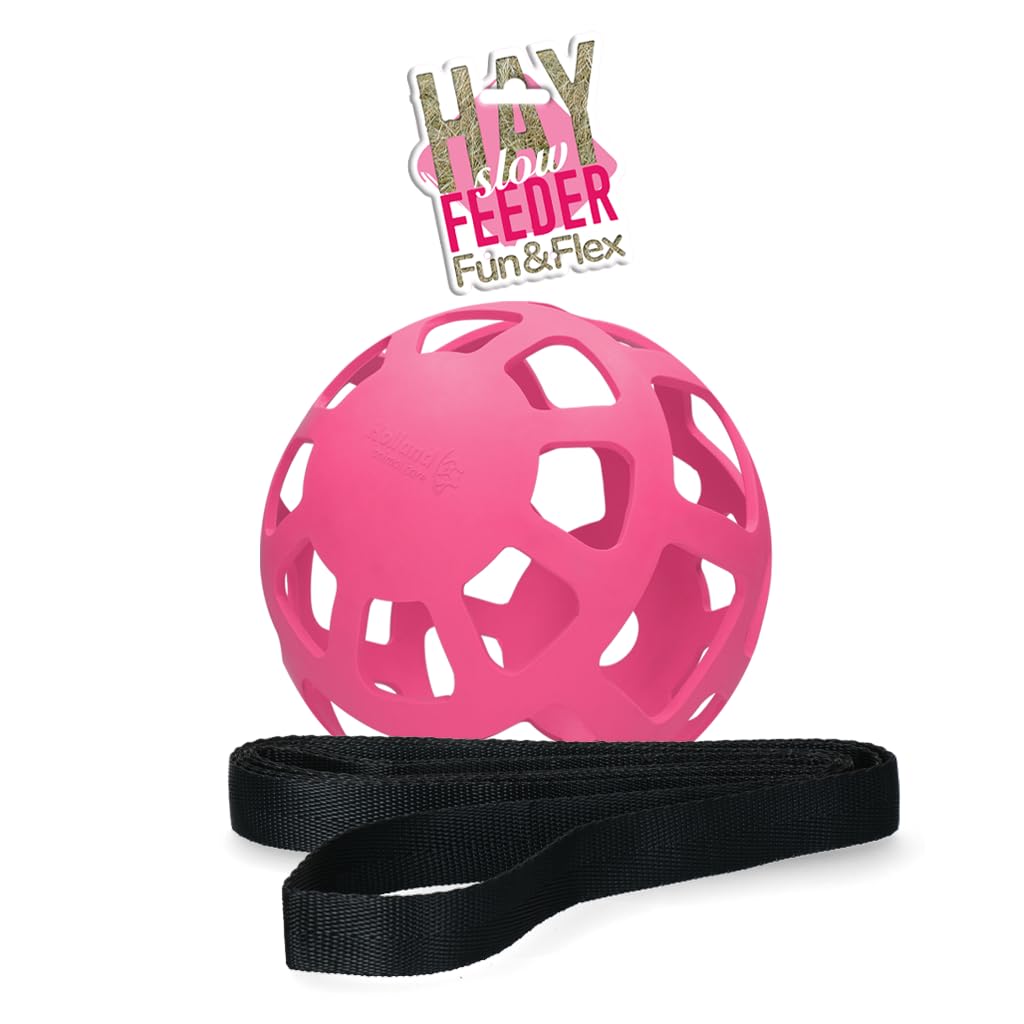 Holland Animal Care Hay Slowfeeder Fun&Flex Ø 22 cm – Fienone Cavallo – Adatto per animali da pascolo – Rete da fieno per cavalli – Contro il decadimento delle stalle – Fino a 1 kg di fieno – Verde