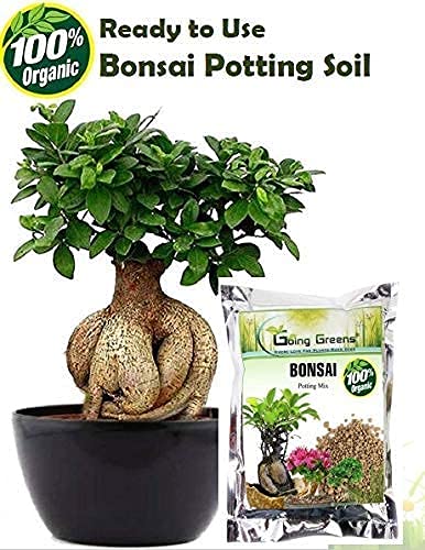 Image of Combo of 100% Organic Bonsai Potting Soil Mix (5 kgs) + Rootex (25 GMS)