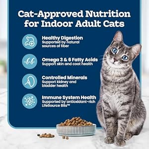 Blue Buffalo Tastefuls Chicken Adult Indoor Dry Cat Food, 3 lb — photo 5 of 6