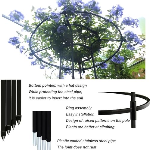 Enrejado vertical de jardín de metal para pepino y plantas trepadoras en contenedor 4