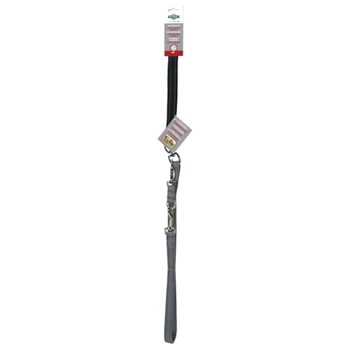 PetSafe Anti-Pull - Correa con Control de Dos Puntos para Arnés 3 en 1, Reduce Tirones, Reflectante