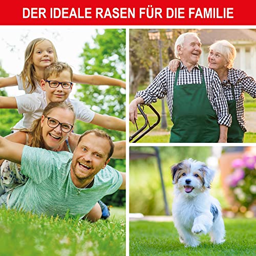 Foto von ONBEST Qualitäts Rasensamen RSM 2.3 für die ganze Familie – 1kg Sport und Spielrasen – strapazierfähig, sattgrün & pflegeleichter Rasen/Gras – Samen ideal für Neuansaat und Nachsaat – Mit Blumensamen