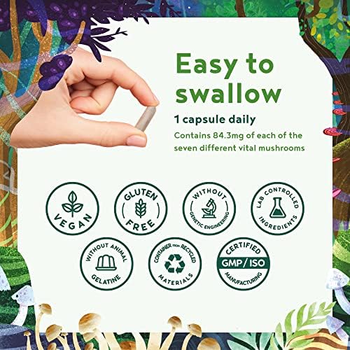 Mushroom Complex - Mushroom Supplement 60 Vegan Capsules - Mushroom Complex 6 with Lions Mane, Reishi, Maitake, Shiitake, Chaga, Cordyceps Plus Agaricus - Vegan Mushroom Capsules by Alpha Foods