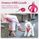 rabbitgoo Dog Harness Small Sized and Leash Set, Step in Soft Light Puppy Vest, Breathable Mesh Pet Harness, Reflective for Safe Easy Walking, Rose Red S - Image 5